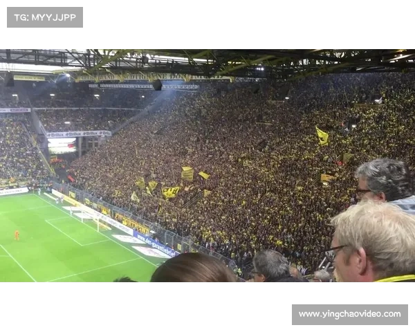 多特蒙德球迷热情高歌助威 球队主场威斯特法伦气氛重燃