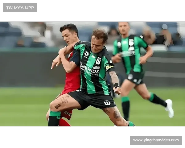 NBL焦点战珀斯野猫主场迎战东南墨尔本凤凰,防守经验与进攻火力对决 NBL焦点战珀斯野猫主场迎战东南墨尔本凤凰,防守经验与进攻火力对决